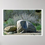 Fractured Rocks Posters
