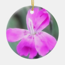 Fragrant Garden Pinks Christmas Ornaments