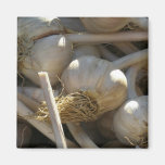 Fragrantly Delicious in Raw Form Fridge Magnet