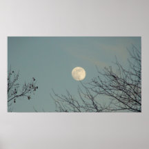 Francis Park January Moon 4 Print