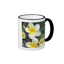 Frangipani flower Cook Islands Coffee Mug