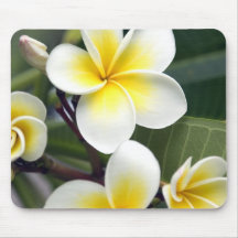 Frangipani flower Cook Islands Mousepads