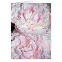 Frank's Peonies Greeting Card
