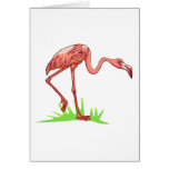 Frannie Flamingo Cards