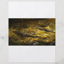 Freash water Trout. Flyers