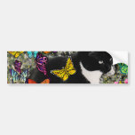 Freckles in Butterflies - Tuxedo Kitty Bumper Stickers