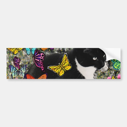 Freckles in Butterflies - Tuxedo Kitty Bumper Stickers