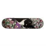 Freckles in Flowers II - Tuxedo Kitty Cat Skate Boards