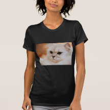 Freddie ~ Chinchilla Persians T Shirts