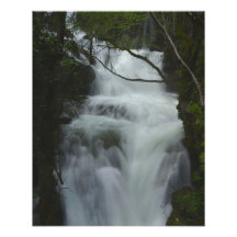Free Fall Photograph