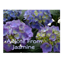 French Baby Blue Hydrangeas Post Card