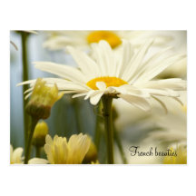 French beauties post cards