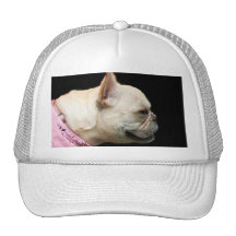 French Bulldog cap Trucker Hats