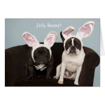 French Bulldog Easter Card!