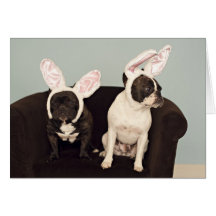 French Bulldog Easter Card!