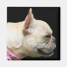 French Bulldog Magnet
