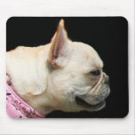 French Bulldog mousepad