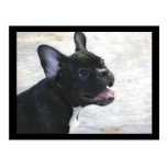 French Bulldog postcard