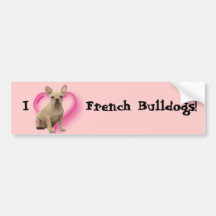French bulldog puppy bumper sticker