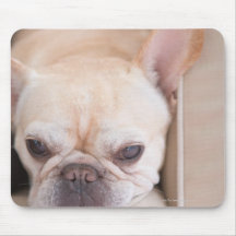 French bulldog resting on sofa mousemat