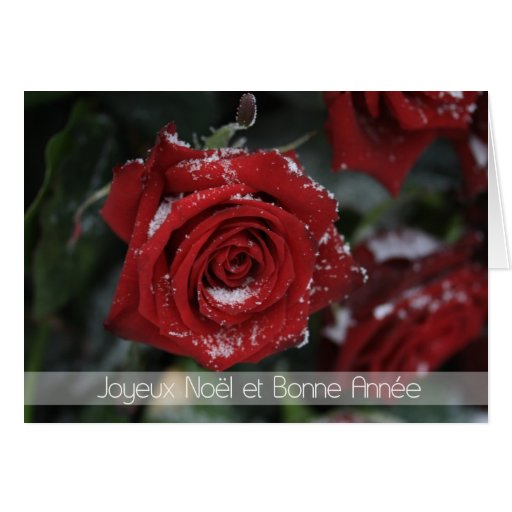 French Merry Christmas-Happy New Year snowy red ro Cards