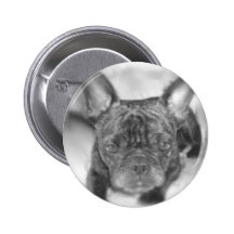 Frenchy Bulldog Pin