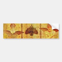 fresco amore bumper sticker