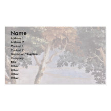 Frescoes In The Villa Vicenza Vallmarana Business Card Templates