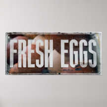 Fresh Eggs Print