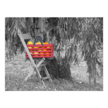 Fresh Fruit by Leslie Peppers Photo Print
