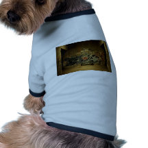 Fresh, Funky, Fashionable, Retro, Cool Pet Shirt