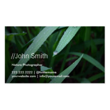 Fresh Green Leaves Photographer Business Card