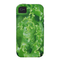 Fresh green lettuce iPhone 4 Cases