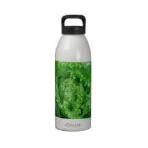 Fresh green lettuce  Liberty Bottle Water Bottles