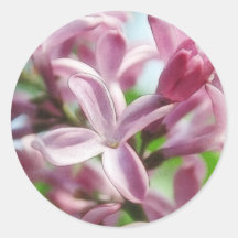 Fresh Spring Lilacs Round Stickers
