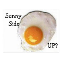 Fried Egg Post Cards