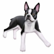 Friendly Boston Terrier Ornament Cut Out