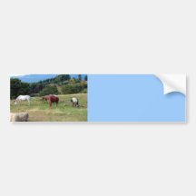 FRIENDLY HORSES BUMPER STICKERS