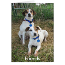 Friends 5045 greeting card