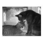 Friends Postcard