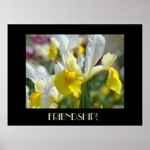 FRIENDSHIP GIFT Yellow Iris Flowers Art Prints