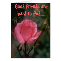 Friendship Greetings Cards
