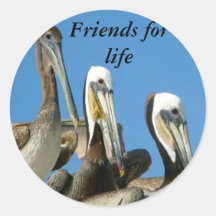 Friendship_Sticker