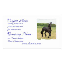 Friesian Horse Business Cards