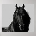 Friesian Horse profile Posters