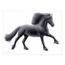 Friesian Running Free Postcard
