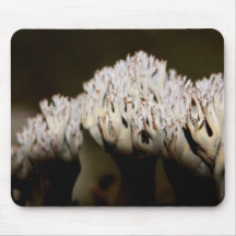 Frilly Fungus Mouse Pad