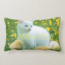 FRINDS THROW PILLOW
