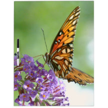 Fritillary Butterfly Dry Erase Board