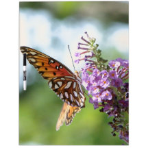 Fritillary Butterfly Dry Erase Board